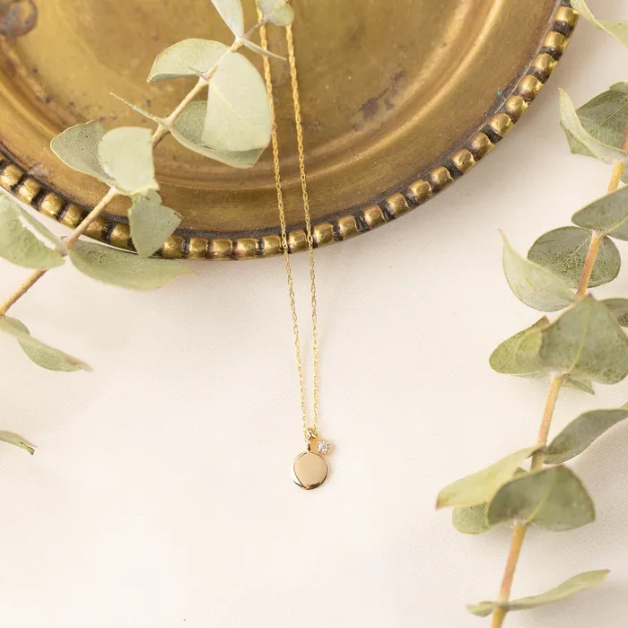 Envero Jewelry Necklaces Small Initial Disc Necklace with Dahlia Birthstone Charm Engraving Option
