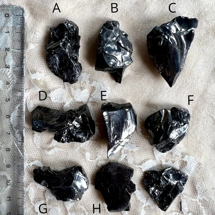 Giardinoblu Necklaces Silver Shungite Elite Shungite Pendant One of a kind
