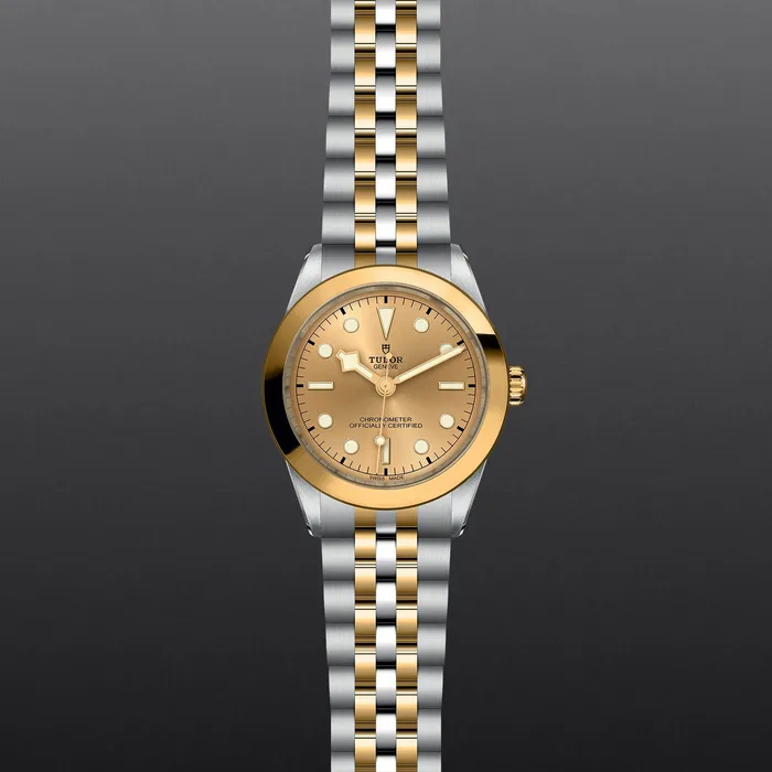 TUDOR Rings TUDOR Black Bay 39 SG