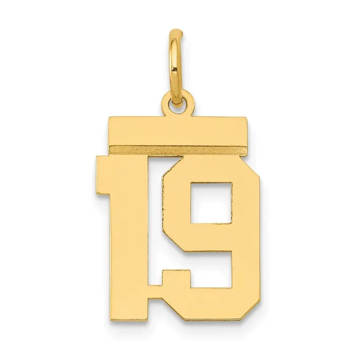 14k Yellow Gold Small Polished Number 19 Charm Goldia Charm Necklaces