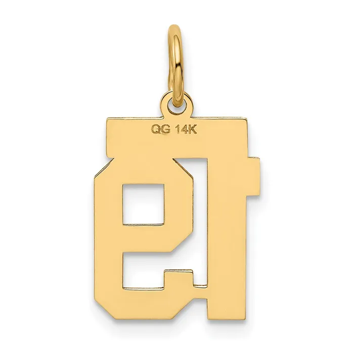 14k Yellow Gold Small Polished Number 19 Charm Goldia Charm Necklaces