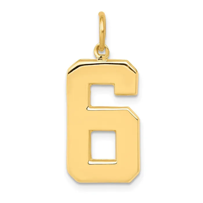 14k Large Polished Number 6 Charm TreasureFineJewelers Charm Necklaces