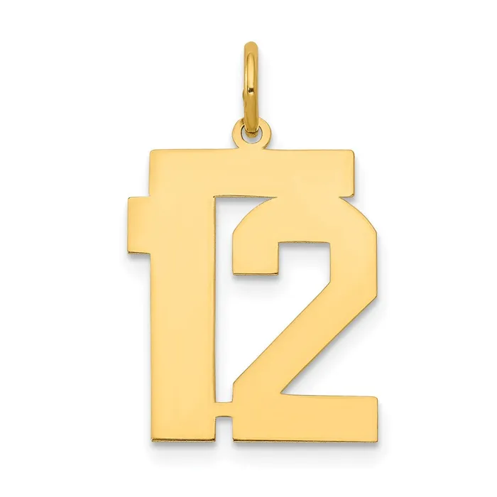 14k Medium Polished Number 12 Charm TreasureFineJewelers Charm Necklaces 14k Medium Polished Number 12 Charm TreasureFineJewelers Charm Necklaces
