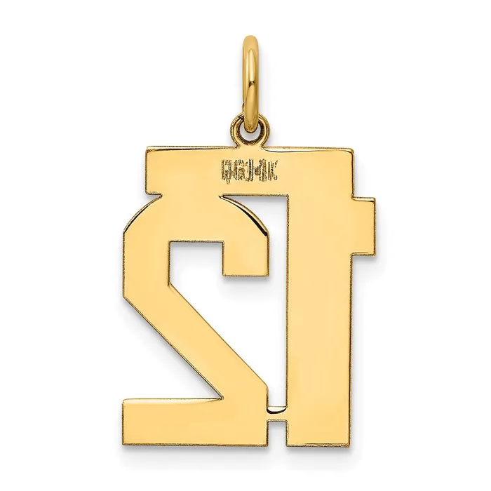 14k Medium Polished Number 12 Charm TreasureFineJewelers Charm Necklaces