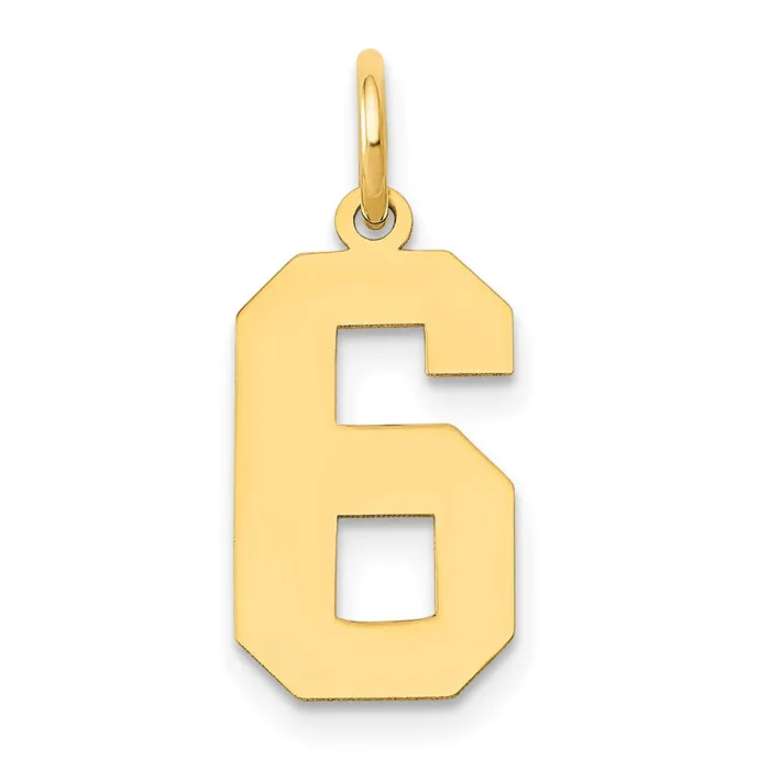 14k Medium Polished Number 6 Charm TreasureFineJewelers Charm Necklaces
