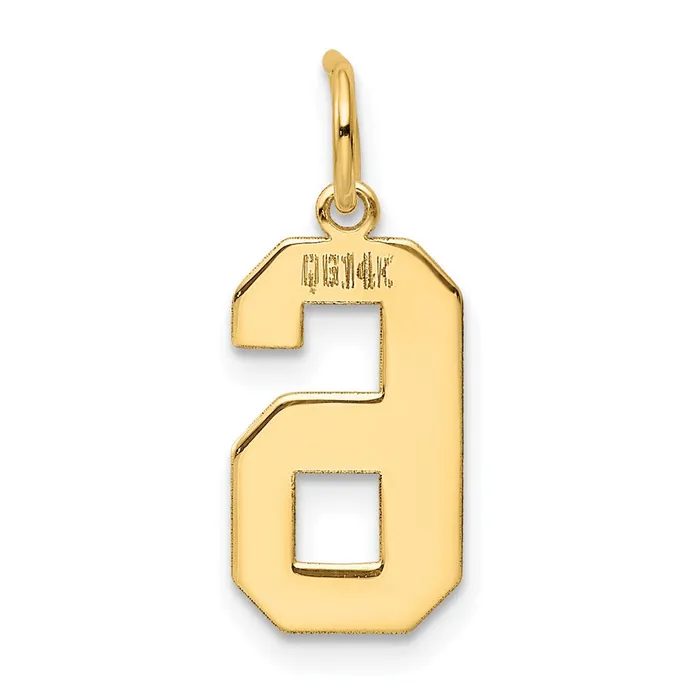 14k Medium Polished Number 6 Charm TreasureFineJewelers Charm Necklaces