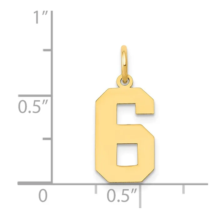 14k Medium Polished Number 6 Charm TreasureFineJewelers Charm Necklaces