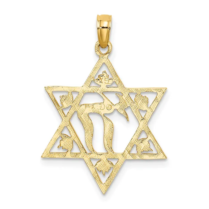 14K Textured Star Of David Charm TreasureFineJewelers Charm Necklaces