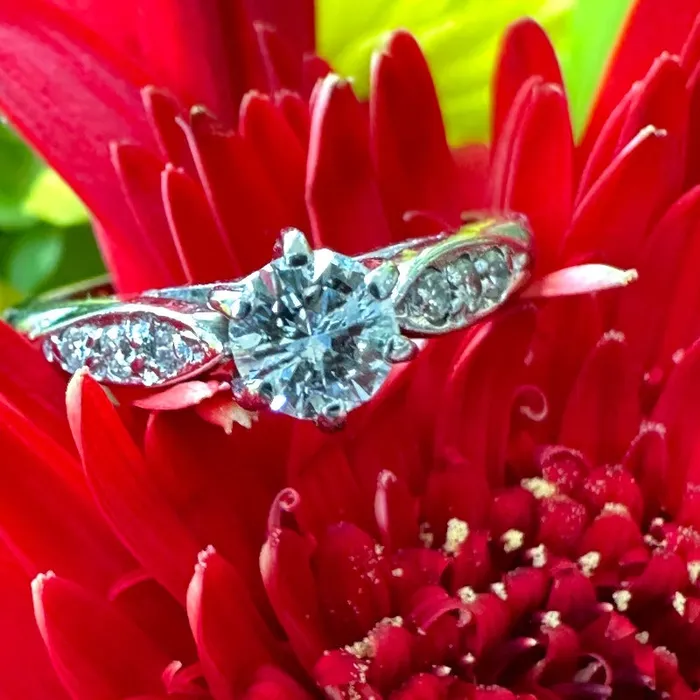 ONeills Estate Jewelry Rings 14 Karat White Gold Engagement Ring 10000588