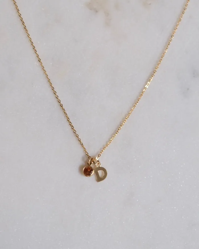 Necklaces ERIJEWELRY Initial D with Birthstone Necklace