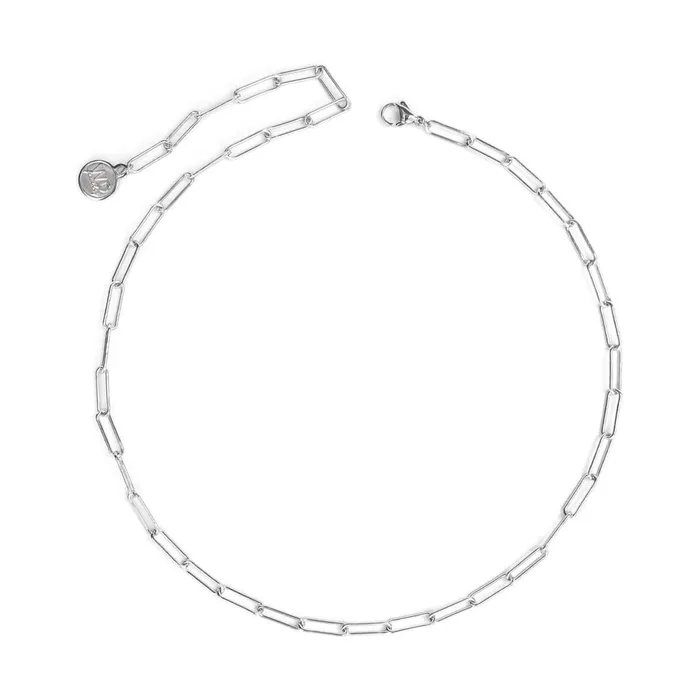 WellDunn Necklaces Clippy Silver Necklace